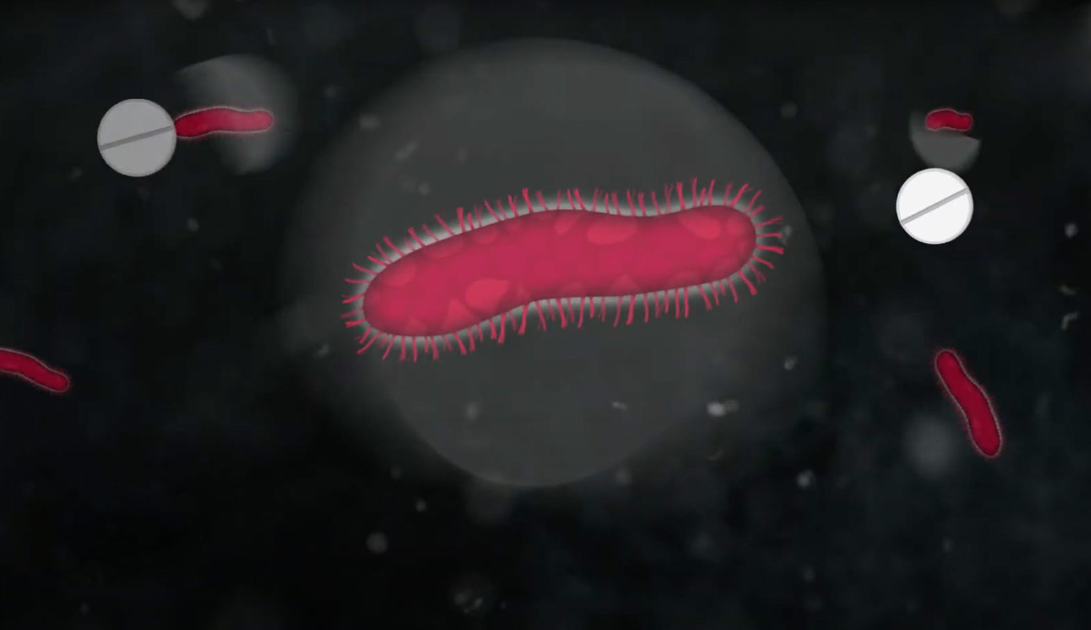 illustration of bacteria and antibiotic pill
