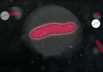 illustration of bacteria and antibiotic pill