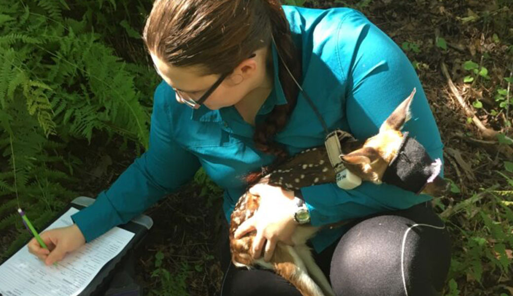 photo of researcher holding baby deer with eye coverings