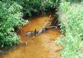 photo of a stream