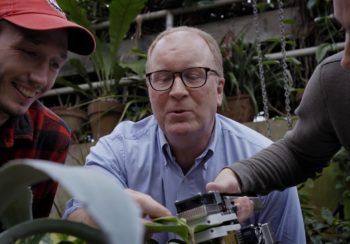 University of Georgia researcher Jim Leebens-Mack working with two students in greenhouse