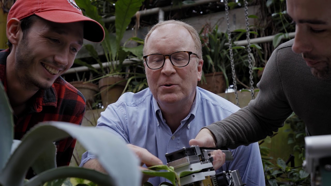 University of Georgia researcher Jim Leebens-Mack working with two students in greenhouse