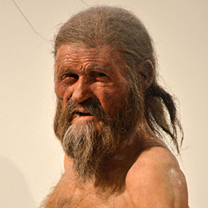 Reproduction of Oetzi the Similaun Man in the South Tyrol Museum of Archaeology in Bolzano, South Tyrol, Italy