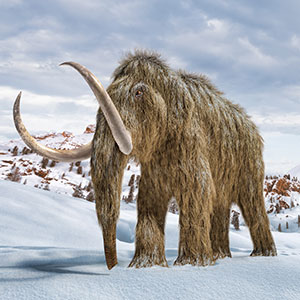 illustration of wooly mammoth in icy setting