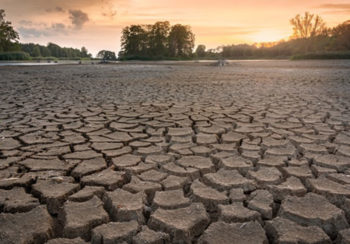 image of land affected by drought
