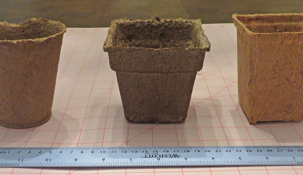 photo of three biodegradable planters