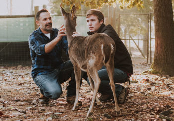 photo of wildlife sciences professor Gino D’Angelo examining a healthy deer with undergraduate student Jack Buban at the University of Georgia Deer Research Facility