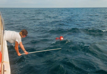 Kim Sawicki tests new gear systems with black sea bass pots off the coast of Georgia.