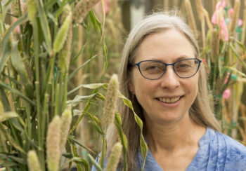 Peggy Ozias-Akins, D.W. Brooks Professor and Distinguished Research Professor in the College of Agricultural and Environmental Sciences