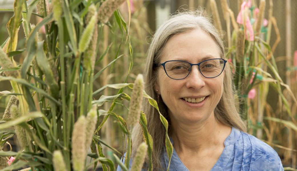 Peggy Ozias-Akins, D.W. Brooks Professor and Distinguished Research Professor in the College of Agricultural and Environmental Sciences