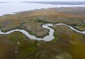 aerial of salt marsh