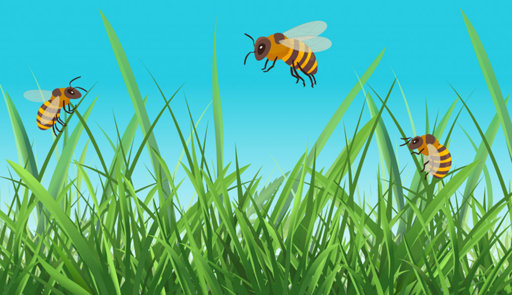 illustration of honey bees on blades of grass