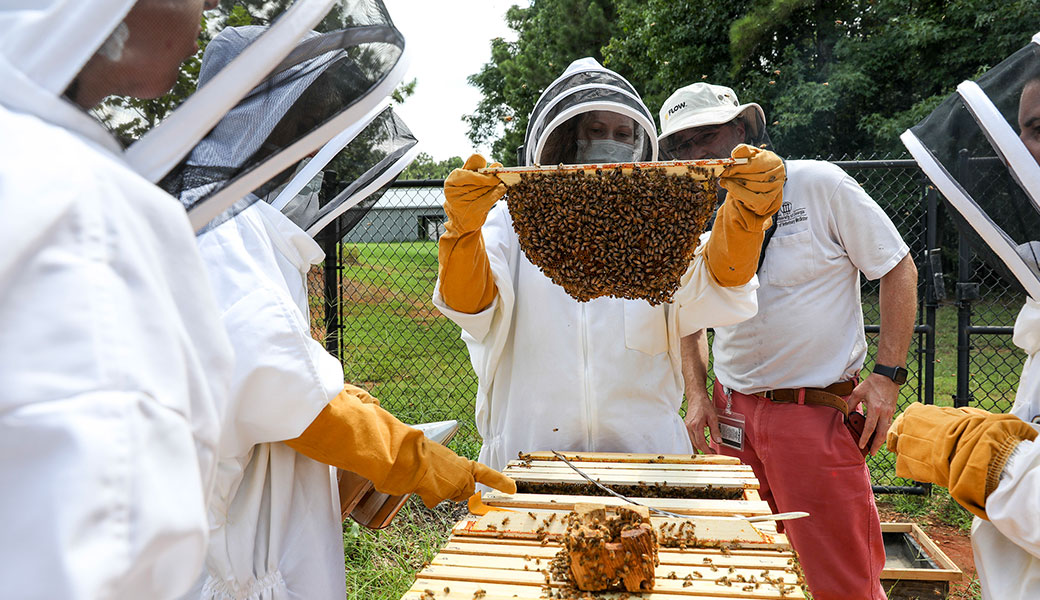 (Center, L-R) Resident Dr. Megan Partyka and Dr. Joerg Mayer inspect a beehive frame during a beekeeping class.