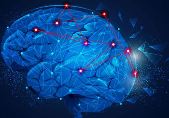 illustration of networks in brain