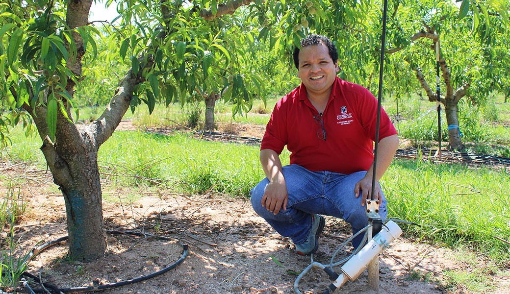 photo of Dario Chavez, associate professor of horticulture on the UGA Griffin campus, showing off the drip irrigation system in the peach orchard of the Dempsey Research Farm used to study irrigation and fertilization management for young peach trees.