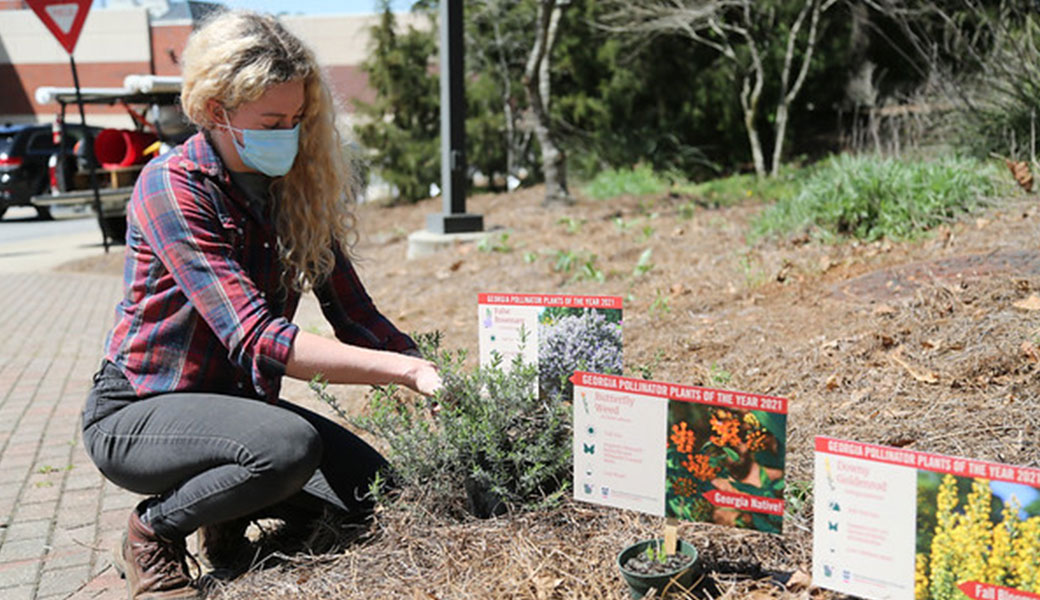 woman planting pollinator friendly plants