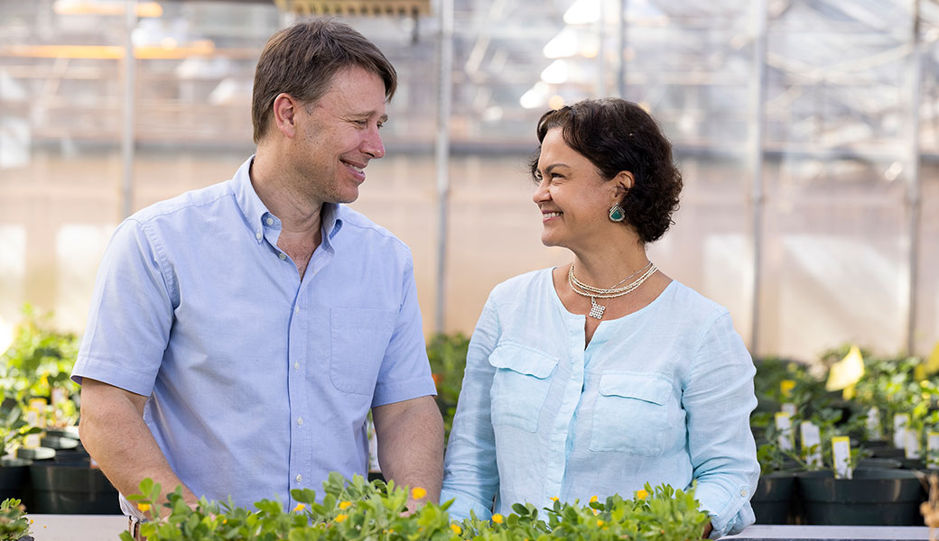 photo of David Bertioli and his wife, Soraya Leal-Bertioli, in their greenhouses at the Center for Applied Genetic Technologies