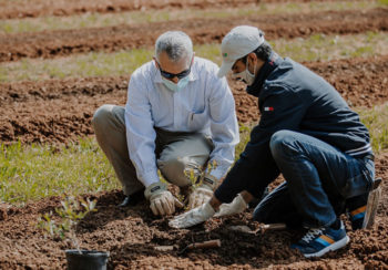 photo of CAES Dean and Director Nick Place (left) and UGA blueberry entomologist Ashfaq Sial ceremonially planting the first blueberry bush in the new research orchard