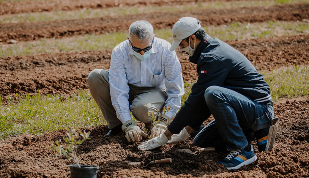 photo of CAES Dean and Director Nick Place (left) and UGA blueberry entomologist Ashfaq Sial ceremonially planting the first blueberry bush in the new research orchard