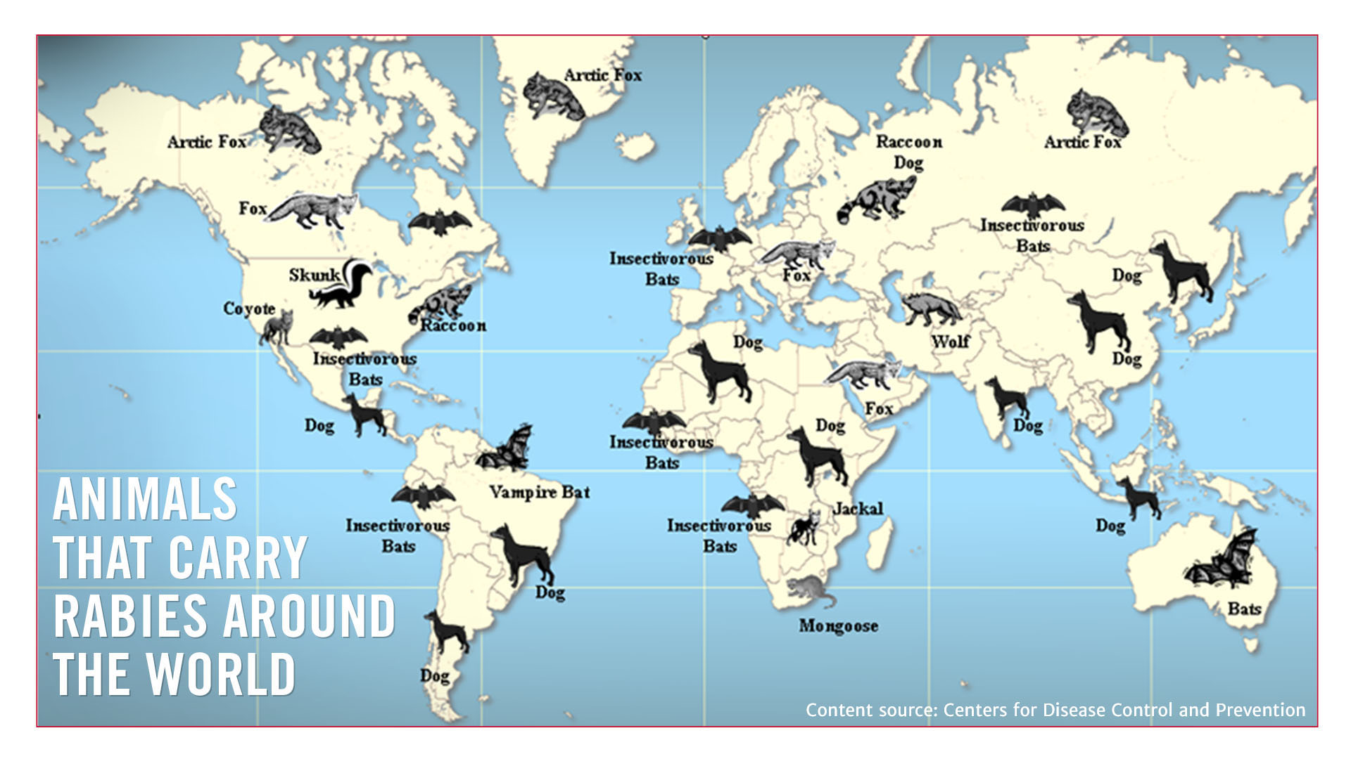 Animals that carry rabies around the world