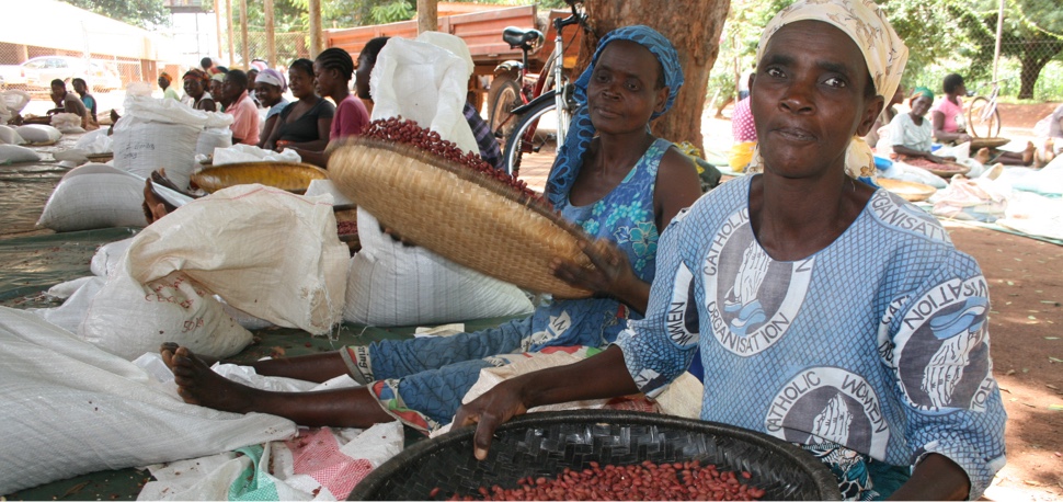 women sorting peanuts