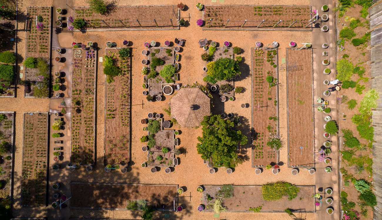 University of Georgia Trial Gardens aerial
