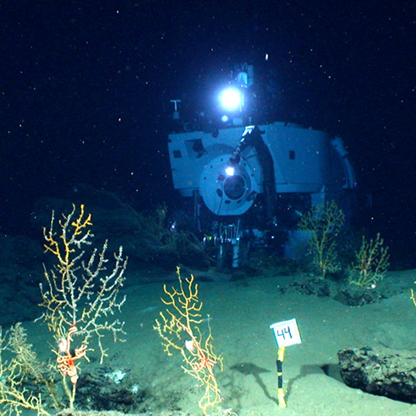 R/V Alvin on deep sea dive