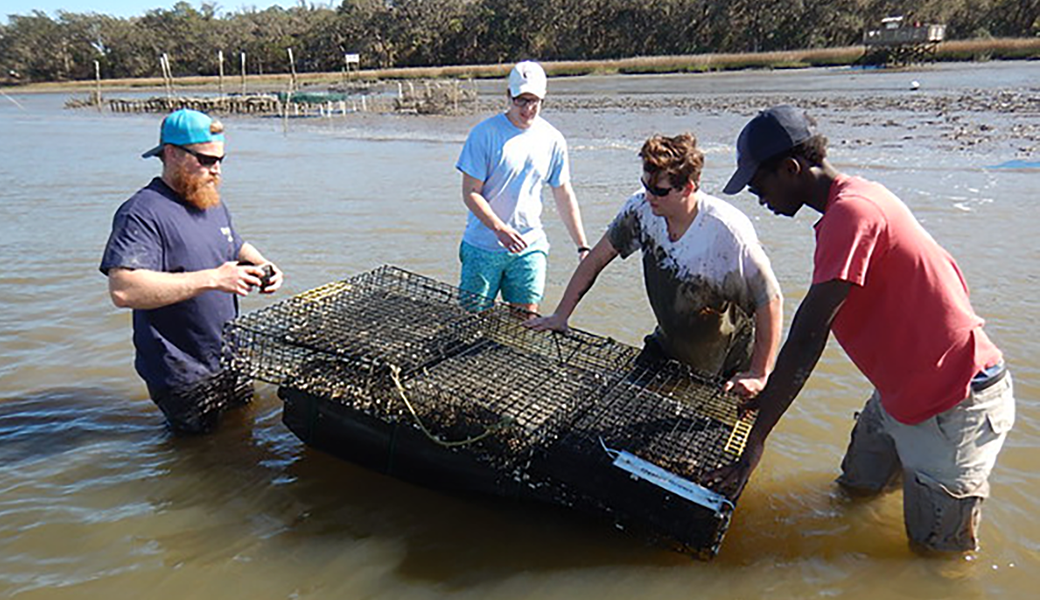 Photo of faculty and students from UGA College of Engineering partnering with Marine Extension and Georgia Sea Grant