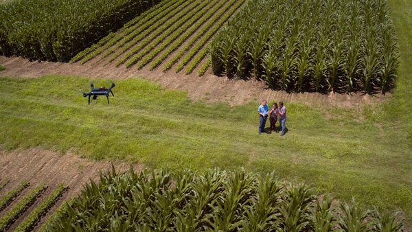 aerial view of three people in field with drone