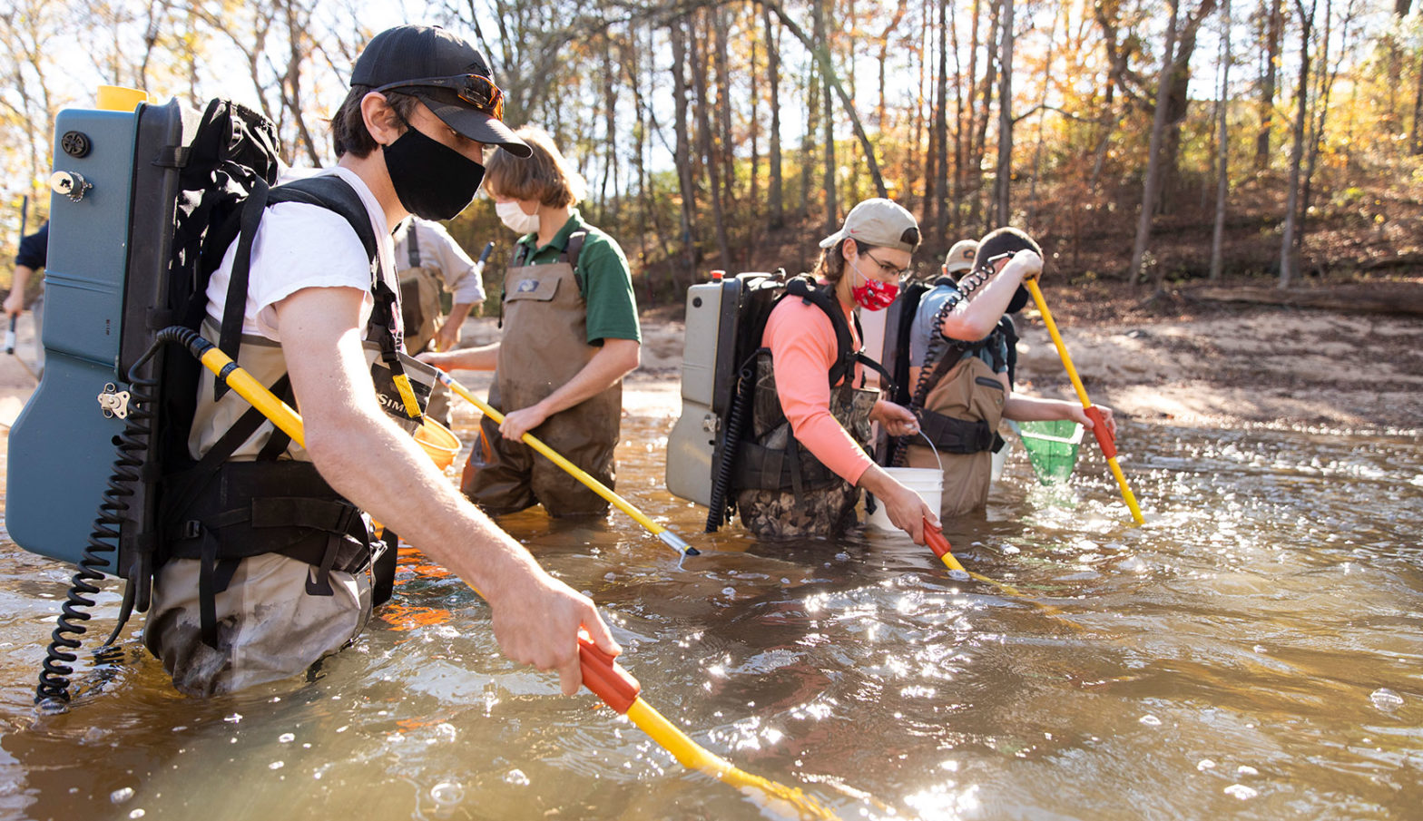 Students from the Warnell School of Forestry and Natural Resources conduct backpack electrofishing during a fish community assessment in local waterways