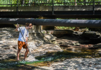 University of Georgia graduate student Andrew Nagy trawls for fish in a creek