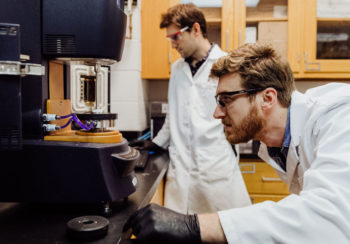 two scientists working in laboratory