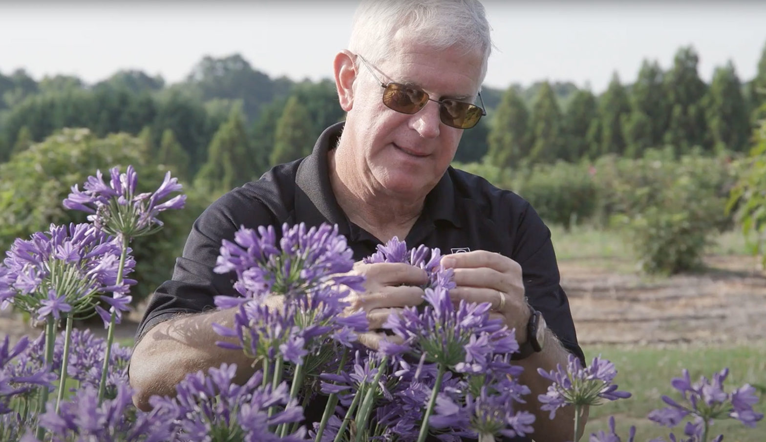 University of Georgia researcher John Ruter works with flowers in the field