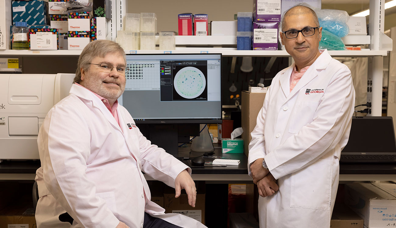 University of Georgia researchers Mark Tompkins and Pejman Rohani in laboratory