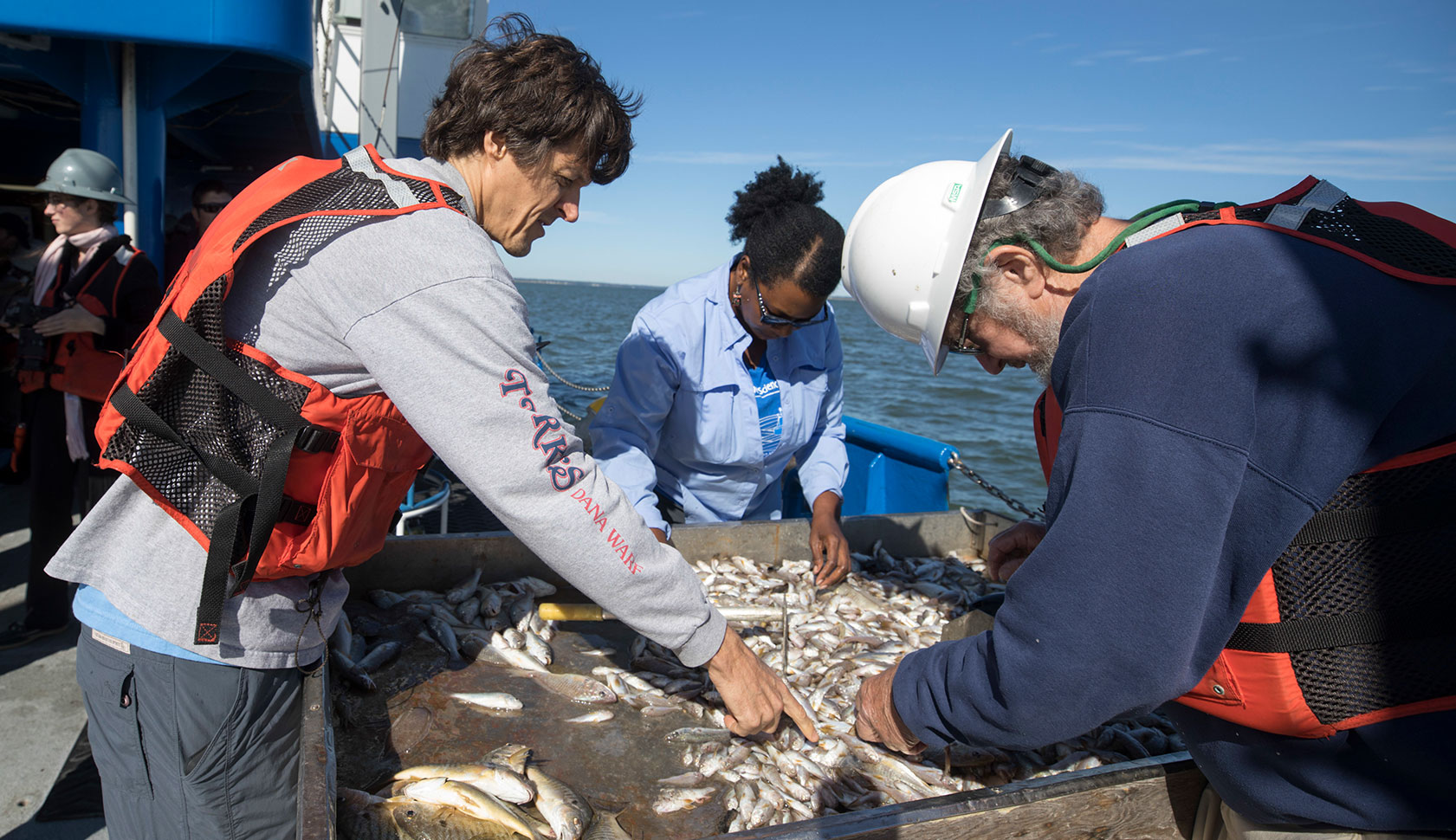 Ecology professor Jeb Byers assists with separating and inventorying marine animals on the R/V Savannah research vessel during a cruise off the Georgia coast.
