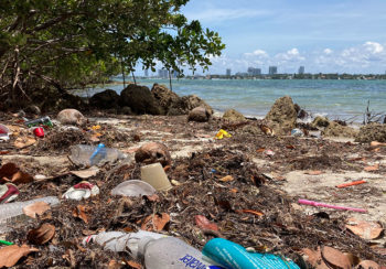 Plastic and other garbage litters the beach on Pace Picnic Island in Miami