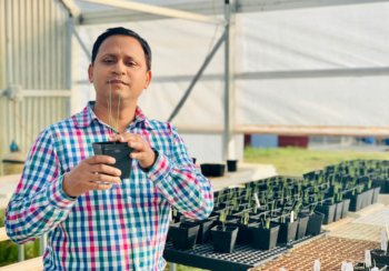 UGA plant pathologist Bhabesh Dutta examines onion seedlings in research facilities on the UGA Tifton campus.