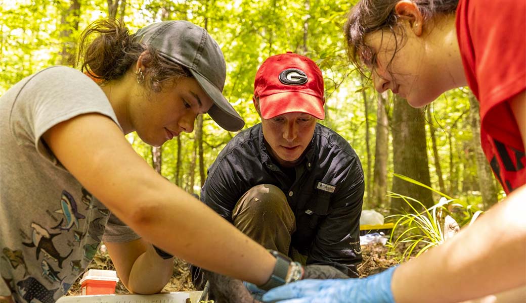Undergraduate student Adrienne Risk, Jim Beasley, and undergraduate student Hannah Vesper collect data from a sedated wild pig.