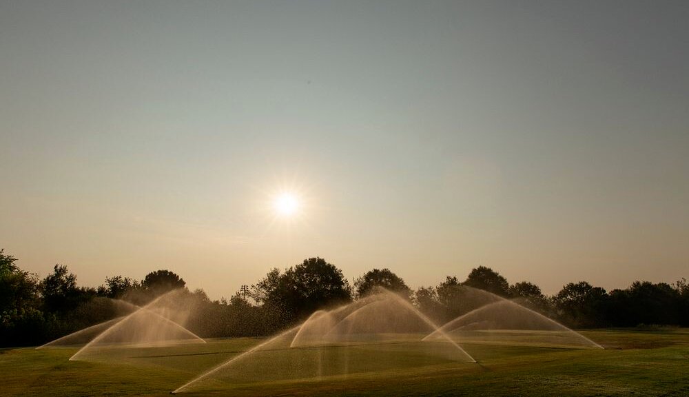 CAES researchers Mussie Habteselassie, Bochra Bahri and David Jespersen are testing the benefits of using nanobubble-infused irrigation water to more efficiently grow sods and maintain turfgrass. (Photo by Andrew Davis Tucker/UGA)