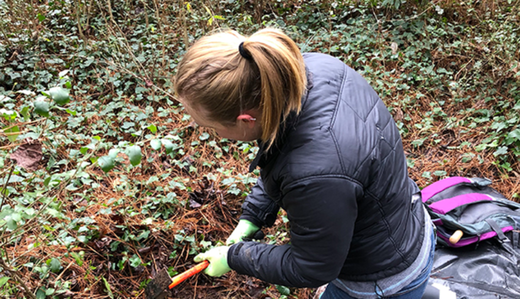 Graduate student Summer Fink prepares a humane trap in a wooded area of metro Atlanta.
