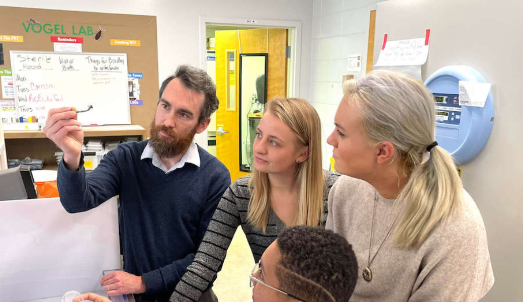 Entomology Assistant Professor Kevin Vogel, doctoral student Carissa Gilliland, undergraduate student Ashley Dombrowski and doctoral student Nia Keyes-Scott study a kissing bug in the lab. (Submitted photo)