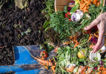 Foot waste in a compost pile