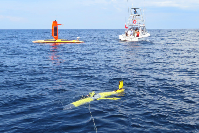 Gliders and saildrones conduct joint exercise at Gray’s Reef National Marine Sanctuary