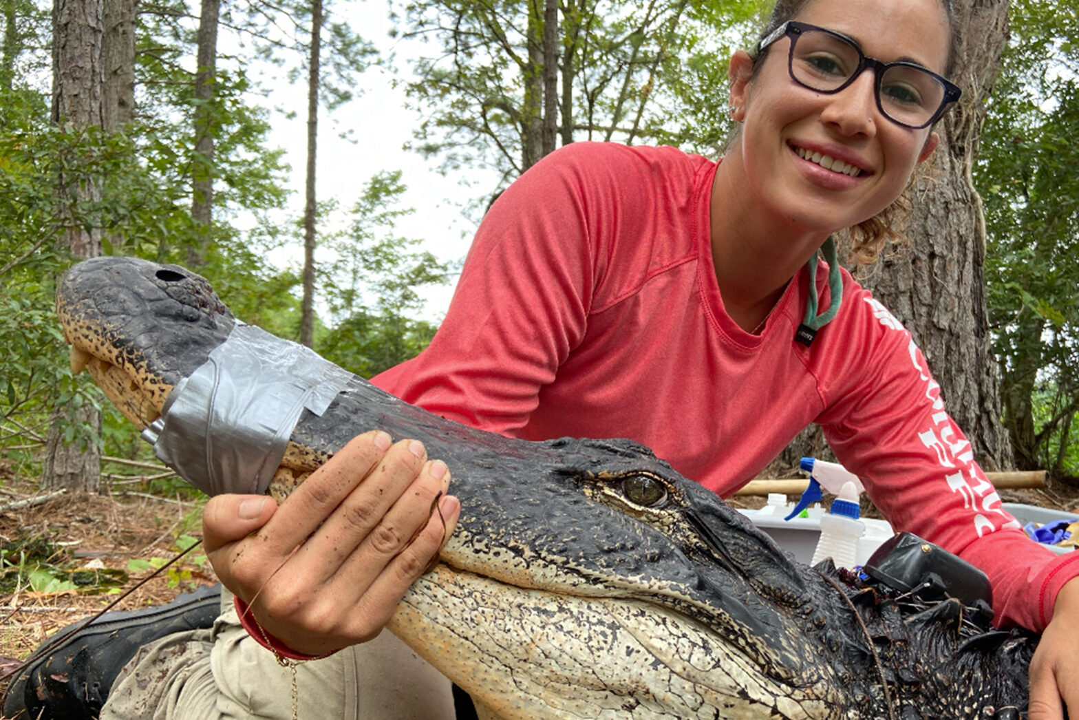 Laura Kojima holding an alligator.