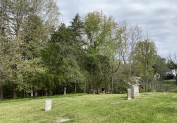 Cemetary with granite tombstones in a green field with trees in the background.