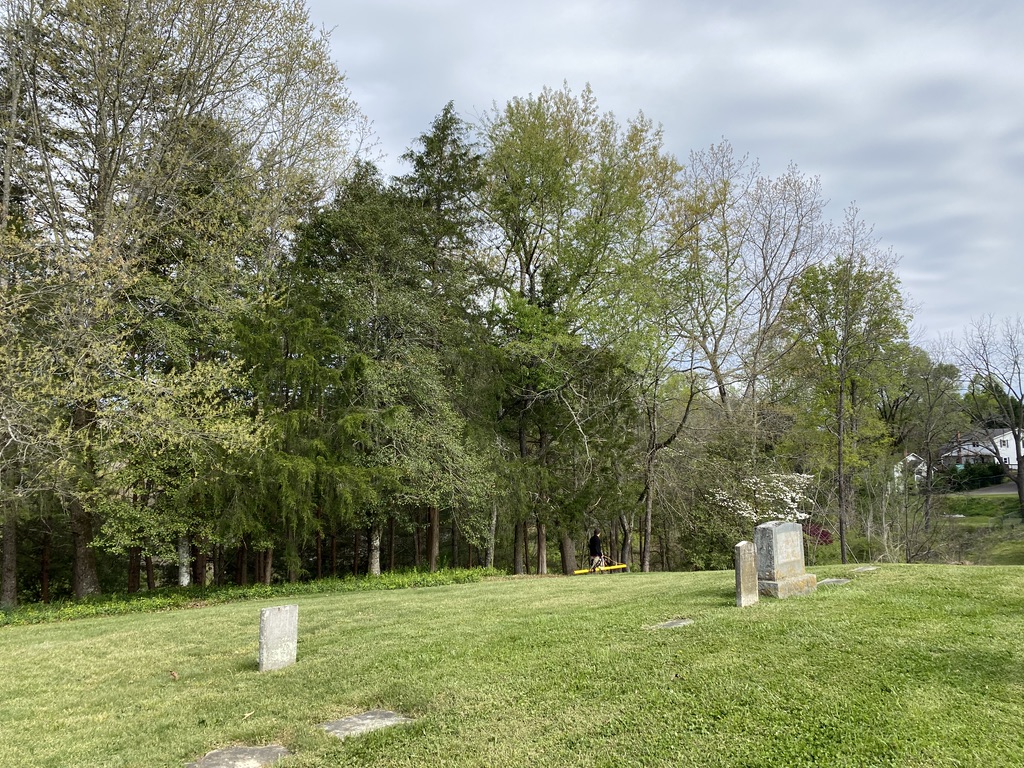 Cemetary with granite tombstones in a green field with trees in the background.