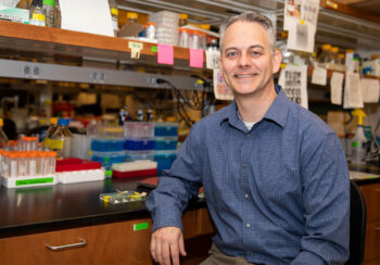 Doug Menke is a professor of genetics in the Franklin College of Arts & Sciences and also serves as the director of UGA’s Developmental Biology Alliance.