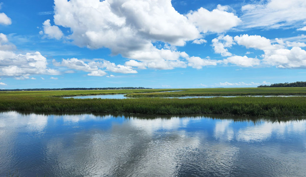 Photo of a salt marsh.