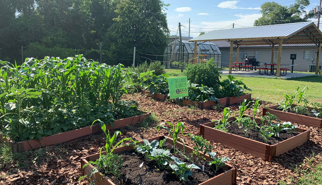 A community garden in Calhoun helps provide fresh produce to local residents. (Submitted photo)