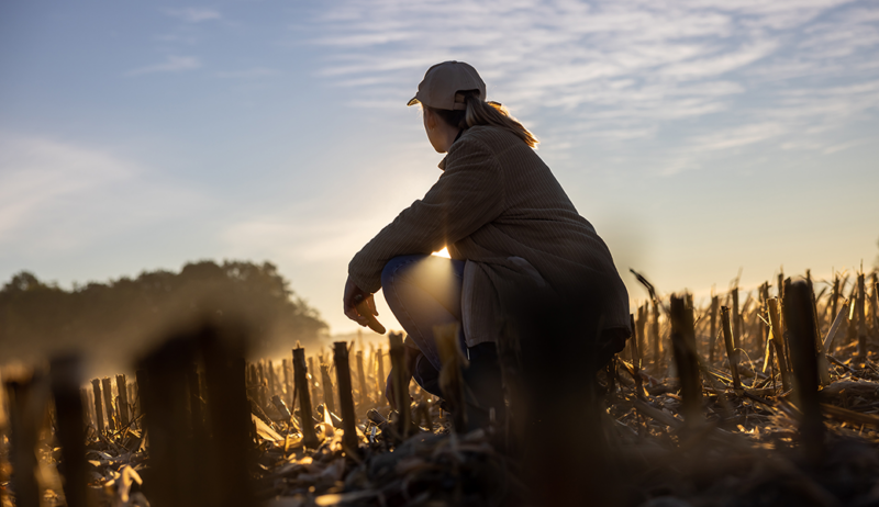 Female farmer sitting in a harvested field just before sun up.